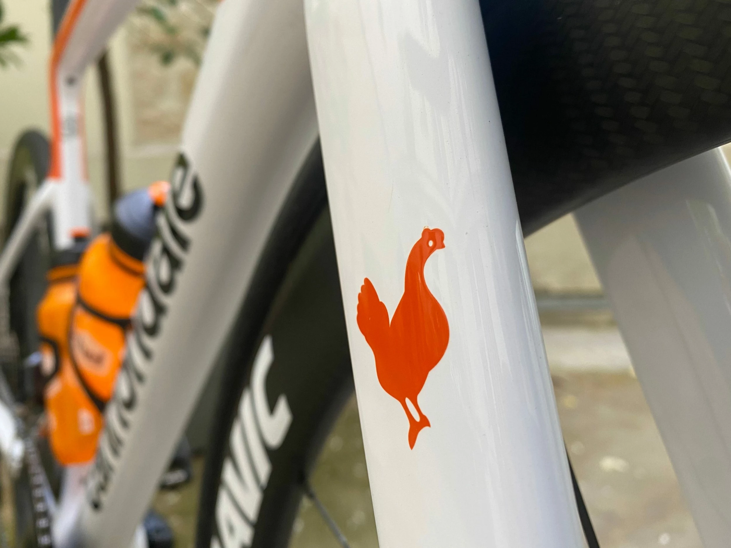 Werideon Cycling Shop Cannondale SuperSix EVO HI-MOD DISC Shimano Ultegra Di2 11v !TDF SERVICE COURSE! 2 Werideon Cycling Shop Cannondale SuperSix EVO HI-MOD DISC Shimano Ultegra Di2 11v !TDF SERVICE COURSE! – Image 2