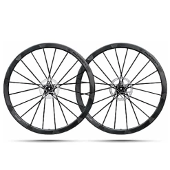 Paire De Roue LIGHTWEIGHT PFADFINDER EVO Disque Tubeless